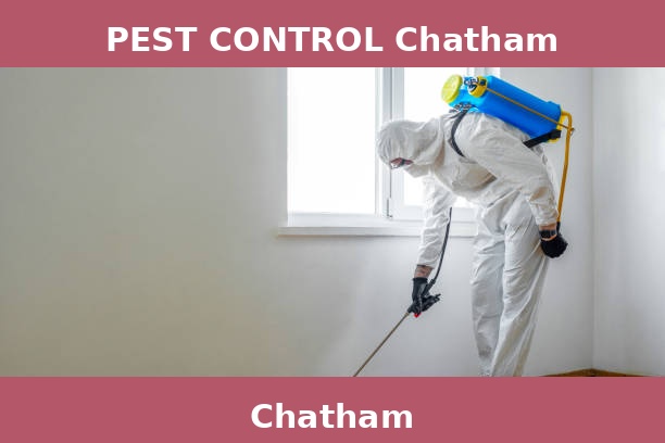 PEST CONTROL Chatham
